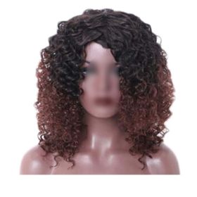 Black Brown Afro Hair Wig 2Tone Short Curly Fluffy Wigs with Bangs Synthetic Hair Full Wig,16 inch