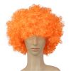 Colorful Clown Costume Wig - Multicolored Clown Wig Costume Accessories for Kids and Adults