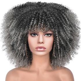 15Inch Curly Wigs for Black Women Afro Bomb Curly Wig (Color: Silver Gray)